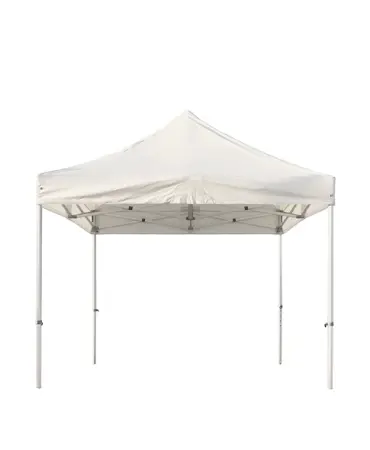 Carpa Brisa 300x300 Beige  1x