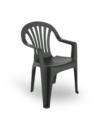 Silla Con Brazos Pals